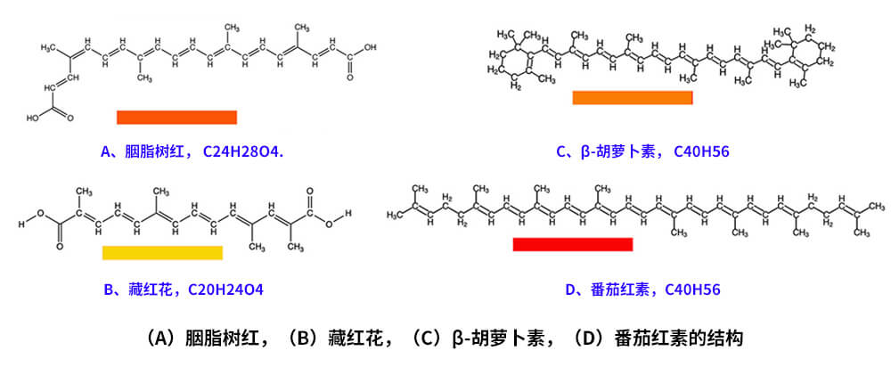 藏紅花、胭脂樹紅、β-胡蘿卜素、番茄紅素的化學(xué)結(jié)構(gòu)